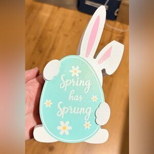 Easter 🐣 or Spring Decoration.